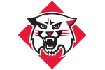 Davidson Wildcats