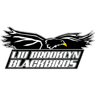 LIU Brooklyn